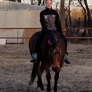 Meet your Posher, Shelley